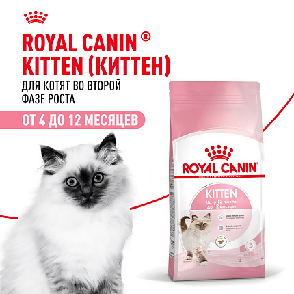 Сухой корм Royal Canin Kitten для котят до 12 месяцев 4 кг
